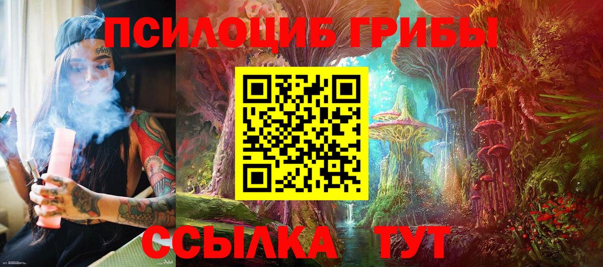 Галлюциногенные грибы Psilocybine cubensis Хасавюрт