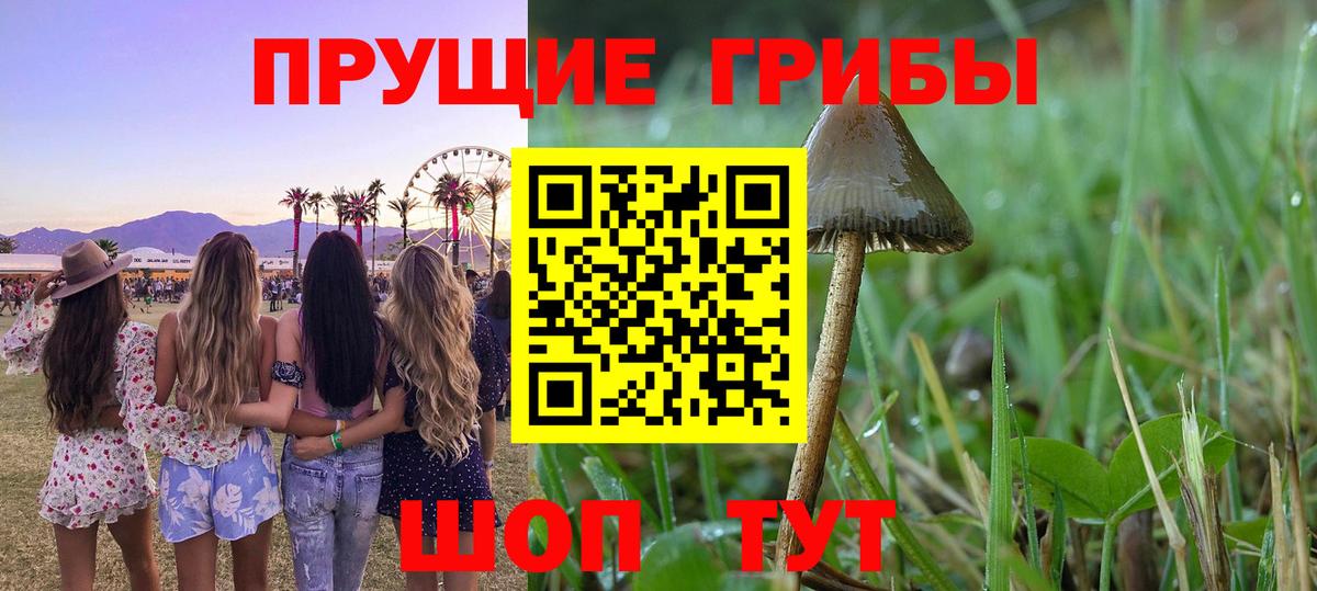 Галлюциногенные грибы MAGIC MUSHROOMS  Вход с VPN  как найти   Хасавюрт 